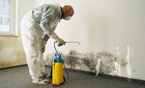 Best Residential Mold Inspection & Testing  in Mauston, WI