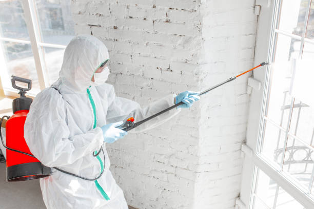 Best Mold Odor Removal Services  in Mauston, WI