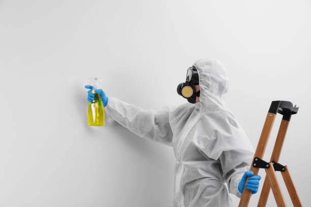 Best Comprehensive Air Testing for Mold Contaminants  in Mauston, WI